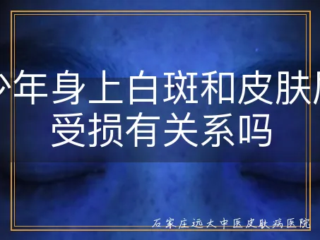 青少年身上白斑和皮肤屏障受损有关系吗