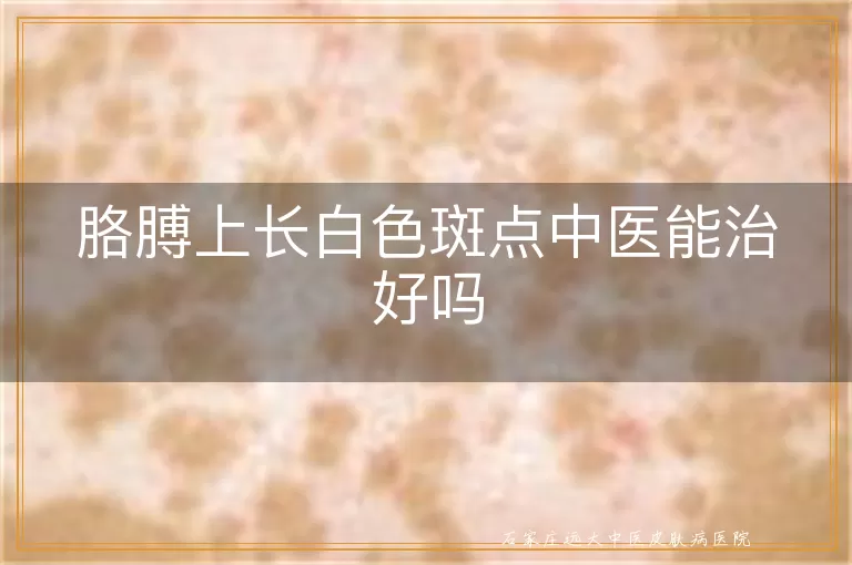 胳膊上长白色斑点中医能治好吗